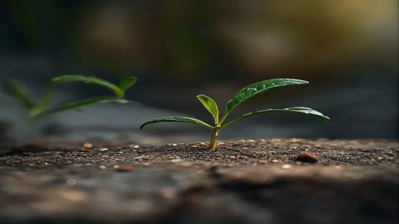 Phân tích y khoa hình ảnh Gratitude Practice in 2026: The Simple Habit That Changes Everything